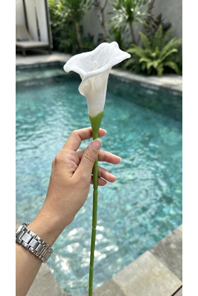 NC Home Design Islak Beyaz Gala Dal 85 Cm Adet