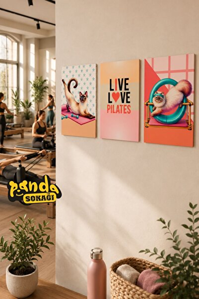 PANDA SOKAĞI Live Love Pilates Kedi Temalı 3'lü MDF UV Baskı Tablo Seti – 30x...