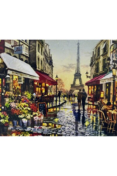EleganTShoP 5D Yapışan Boncuk Mozaik Tablo 40*50 cm TS30