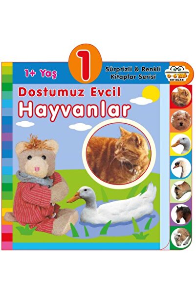 0-6 Yaş Yayınları حيوانات أليافنا الأليفة (1+العمر)