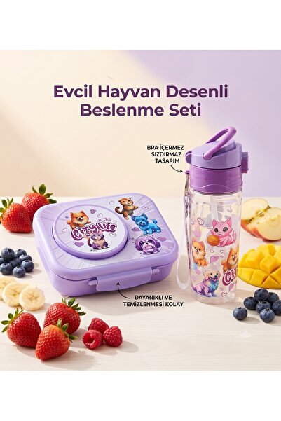 lstri Set of 2 Lunch Box with Bowl and Water Bottle Set, Food Storage Contain...