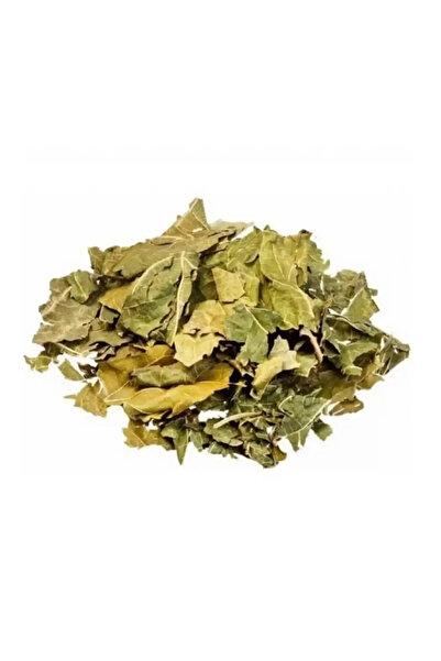 bitki diyarı Mulberry Leaf White 25gr