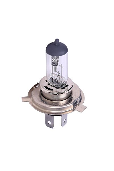 Universal Bec auto cu halogen H4 RoGroup, 12V, 55W, P43T, 1 buc