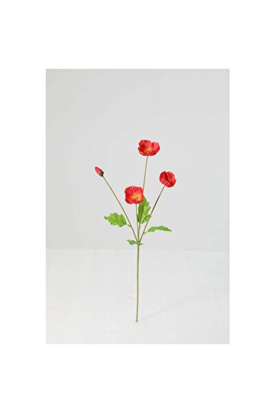 Generic New In Fernza Red Poppy Single Stem Red H71Cm