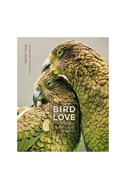 IVY PRESS Bird Love