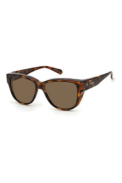 Polaroid Glasses