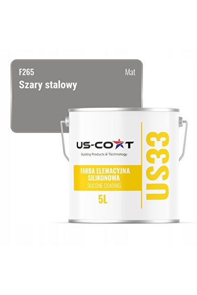 NO BRAND DECONTAMINANT SILICONIC CULOARE GRI OȚEL F265 UV 5L PRODUCĂTOR POLONEZ