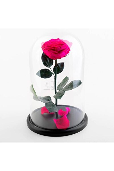 Trandafir Criogenat Trandafir conservat Cyclamen Roz în cupolă