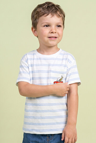 R&B Striped T-Shirt with Crew Neck and Short Sleeves