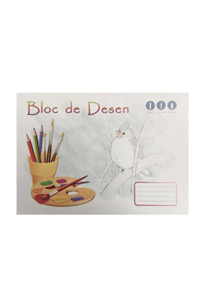 MC Micostore Bloc desen A4 16 file grosime hartie de 140 gr