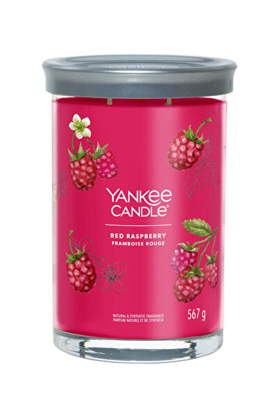 Yankee Candle Αρωματικό Κερί σε Βάζο με Άρωμα Κόκκινης Βατόμουρο 567γρ.
