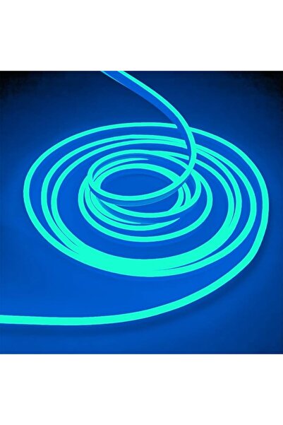 Aissiora شريط إضاءة LED نيون سيليكوني بطول 5 أمتار، مقاوم للماء ومضاد للحريق ...