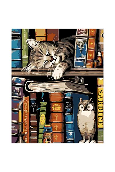 NEVERMORE Set pictura pe numere - panza pe rama lemn 40x50 cm, Pisica pe raft...