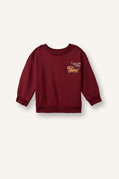 DeFacto Oversize Animal Printed Crew Neck Soft Fleece Sweatshirt for Baby Boy...
