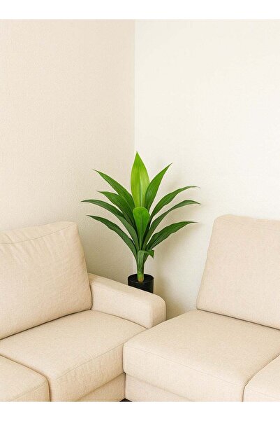 DRAMA HOME Artificial Dracaena Tree, Green, 70cm Height – Realistic Look and ...
