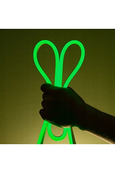 NO BRAND Bandă LED flexibilă tip neon 12V puternică |   5 METRI |   VERDE