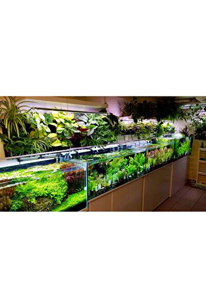 Seachem Regulator Neutru Lichid 250ml menține pH 7