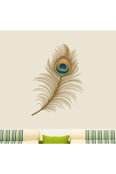 Generic Brand Asmi Collections Wall Stickers Beautiful Peacock Feather