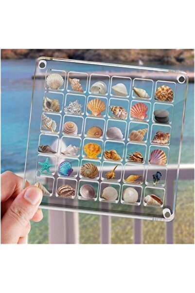 Generic Brand Square 36 Grids Acrylic Magnetic Seashell Display Box Small Dis...