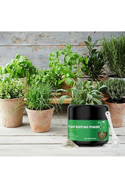 Generic Rooting Hormone Powder for Plant Cuttings, 100g Concentrated Rooting ...