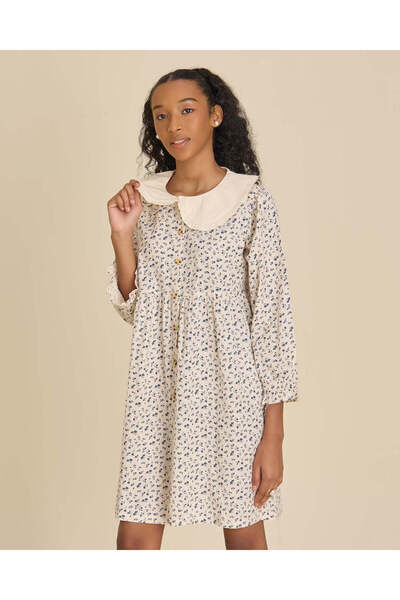 REDTAG Senior Girls Assorted Printed Peter Pan Collar Dress