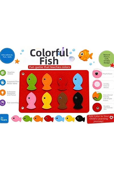 Jelly ekib Educational toy