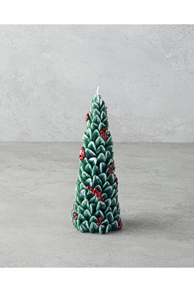 English Home Pine Tree Mum 20 cm Yeşil