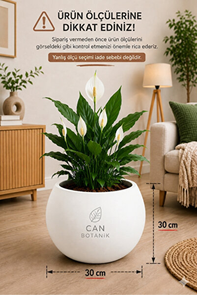 CANBOTANİK İÇ DRENAJ HAZNELİ 30 cm Yuvarlak Saksı Salon Saksı Küre Saksı 30 C...