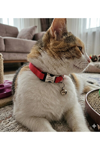hebmeyy Kedi tasması, isimli kedi tasması, kedi künyesi