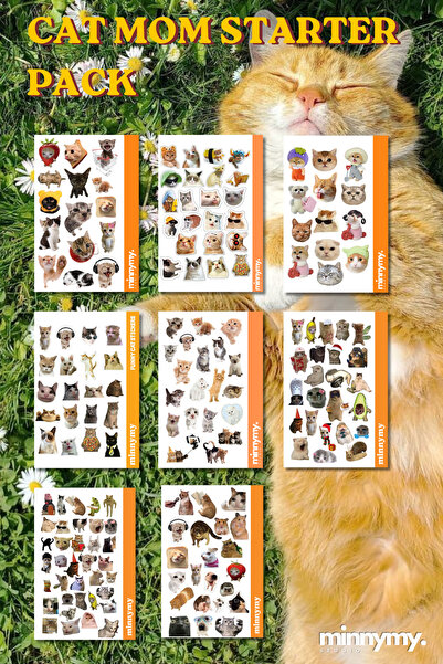 Minnymy Komik Kedi, Kediler, Funny Sticker, Çıkartma, Ajanda, Günlük, Planlay...