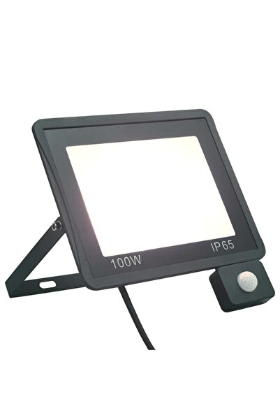 Concept Proiector LED cu senzor, 100 W, alb rece