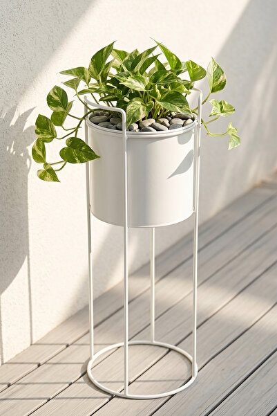 Genel Markalar Ayaklı Metal Silindir Çiçek ve Saksı Standı 50 cm - Beyaz Küçü...