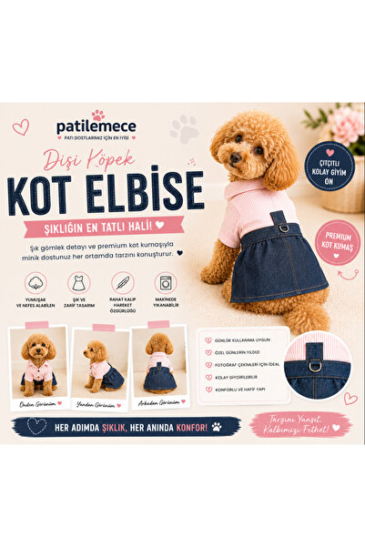 Patilemece Kot Köpek Elbise Gömlek Dişi
