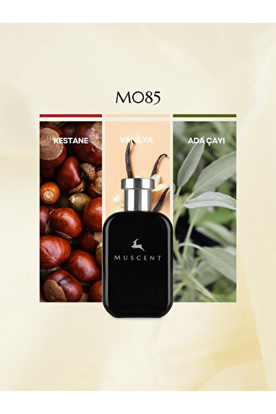 MUSCENT M085 Stronger You 50 ml.