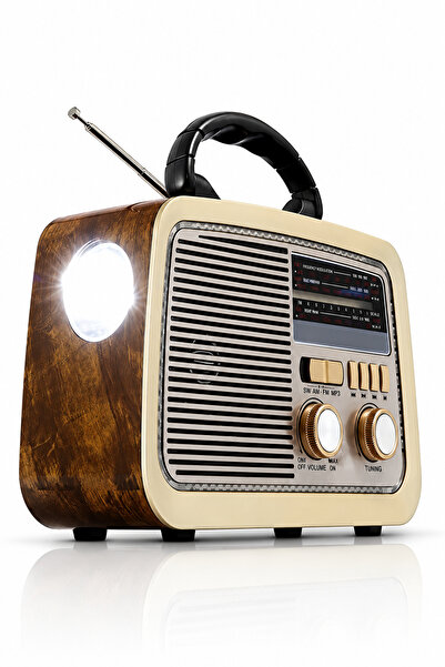 Baytix HOME مكبر صوت عالي الجودة مع راديو FM وAM وSW، يدعم USB وبطاقة TF وAUX...