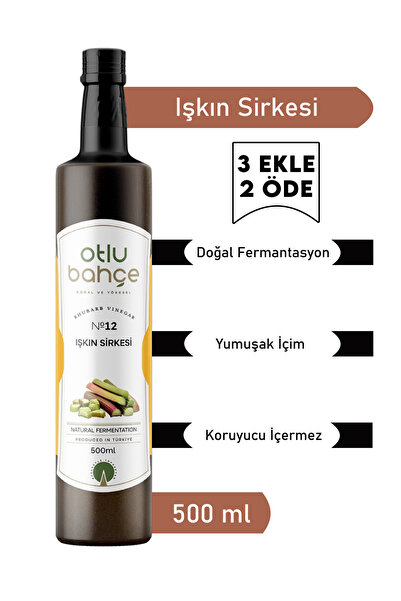 Otlu Bahçe Işkın Sirkesi Doğal Fermantasyon Rheum Ribes Vinegar 500 ml