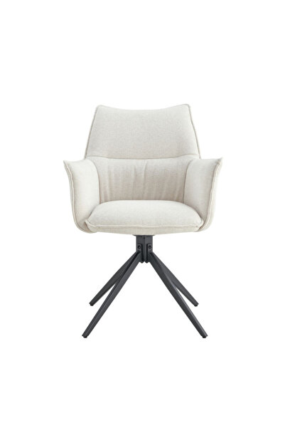 micasa Elegant and Modern Design Dining Chair