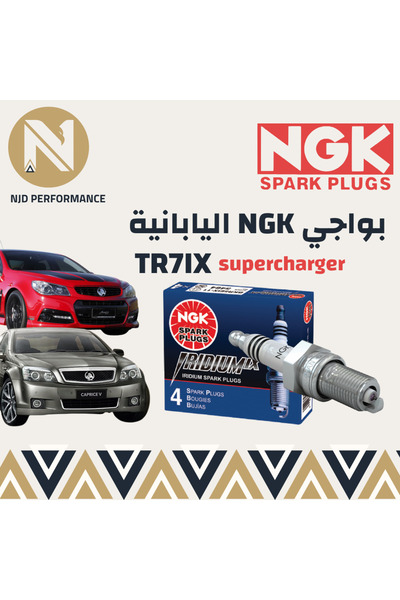 OEMS نسخة من بواجي NGK Iridium TR7IX