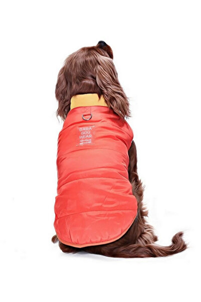 Petza Küçük ve Orta Irk Köpek Mont Murpota Turuncu