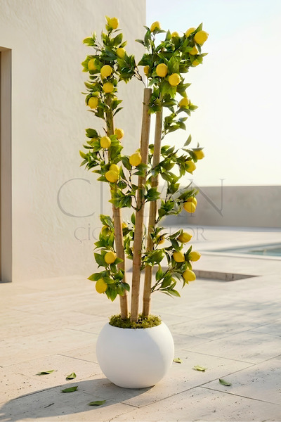 Cihan Çiçekçilik Yapay Limon Bambu Ağacı - Beyaz Küre Saksılı 100 cm