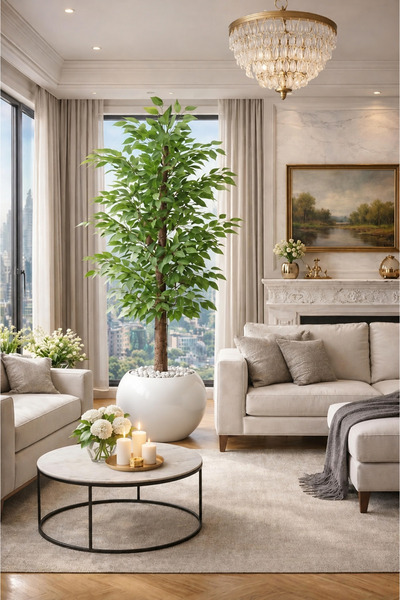 Altun Çiçekcilik Benjamin 150 Cm Ağaç Lux Saksı Dahıldır