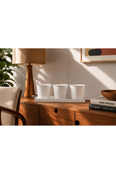 Feronyahome & Garden 3'lü Tepsili Kova