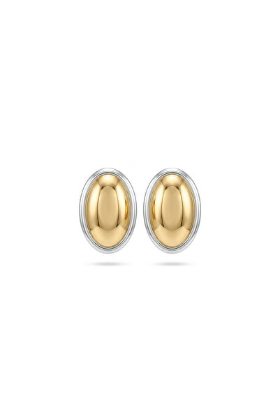 Charmist Steel Fiona Earrings