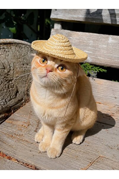 AKTEZ-EL Cat & Dog Accessory Natural Mexican Straw Hat
