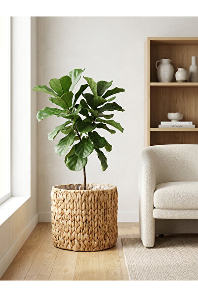 ELZEY HOME Hasır Içi Poşetli Dekoratif Saksılık & Sepet Xl 31x25cm Naturel