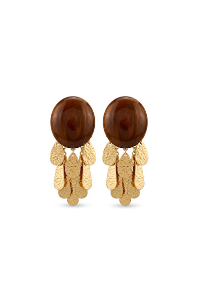 Charmist Acrylic Tassel Oval Earrings
