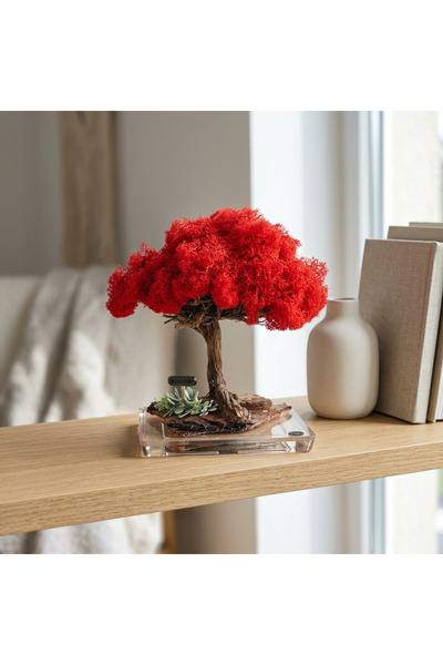 Decoroon El Yapımı Kırmızı Bonsai Ağaç – Doğal Dal Tabanlı Dekoratif Masa Dekoru