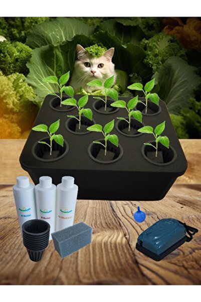 TarımSuda Topraksız Tarım Mini Set Siyah Hidroponik Set Suda Tarım Hobi Seti