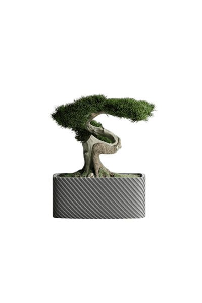 Sani Ghiveci decorativ Sani, Bonzai, mic 164 x 64 x 50 mm, Gri Mat
