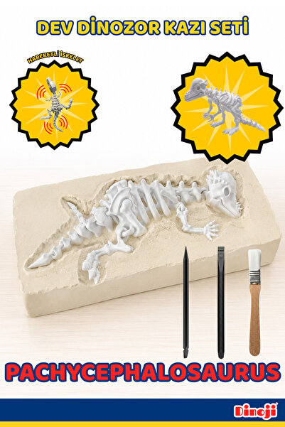 Dev Dinozor Arkeolojik Kazı Bilim Kiti PACHYCEPHALOSAURUS